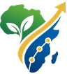 Transform Africa
